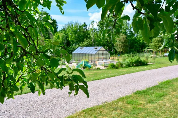 Maison Verte Zone Culture Dans Jardin Kumla Suède Juin 2023 — Photo
