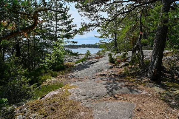 シュテンドレン自然保護区を通るトレイルNykopingスウェーデン7月15 2023平らな崖の上に — ストック写真