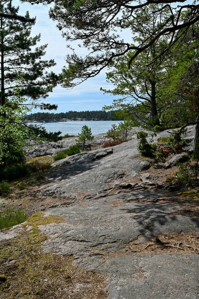 Trail Throug Stendorren Natura Reserv Nykoping Svezia Luglio 2023 Scogliere — Foto Stock