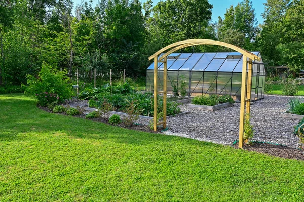 25 Temmuz 2023 'te yeşil evle bahçedeki tarıma giriş.