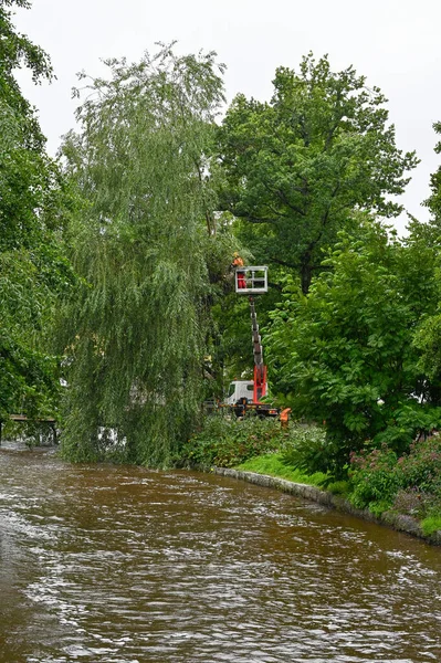 Arborist High Basket Boom Lift Taking Branches Orebro Sweden August — Stock Photo, Image