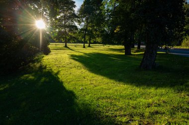 Akşam ışıklarıyla park alanındaki ağaçların arasından Hallabrottet Kumla İsveç 17 Eylül 2023