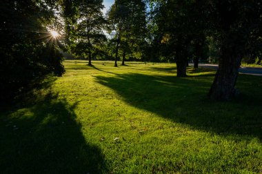 Akşam ışıklarıyla park alanındaki ağaçların arasından Hallabrottet Kumla İsveç 17 Eylül 2023
