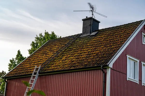 Moss Covers Roof Tiles House Kumla Sweden September 2023 — Stock Photo, Image