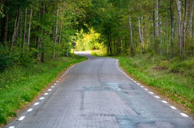 8 Ekim 2023 'te İsveç yakınlarındaki Kumla ormanından geçen asfalt yol.