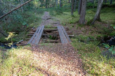 10 Ekim 2023 'te Skale Klint nehrinin üzerinde güvenli olmayan eski köprü.