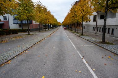 Kumla 'daki Hagendalroad Sonbahar ağaçlarıyla 19 Ekim 2023