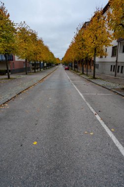 Kumla 'daki Hagendalroad Sonbahar ağaçlarıyla 19 Ekim 2023