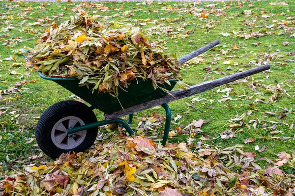 Bahçe Kumla 'da sonbahar renkli yapraklarla dolu el arabası 28 Ekim 2023