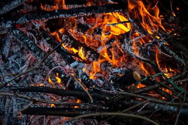 Fire made of twigs from garden cleaning Kumla Sweden November 11 2023
