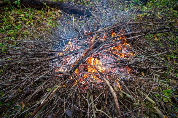 Огонь Ветвей Садовой Чистки Кумла Швеция Ноября 2023 Года — стоковое фото