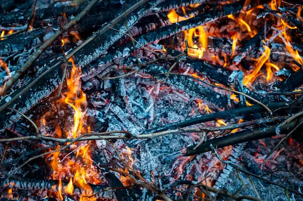 Fire made of twigs from garden cleaning Kumla Sweden November 11 2023
