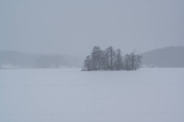Üstünde kar olan donmuş bir göl ve görüş mesafesi düşük küçük bir ada İsveç 7 Aralık 2023