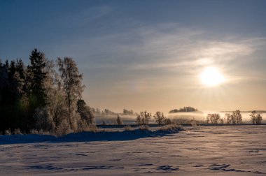 19 Ocak 2024 'te kumla kaplı açık araziler üzerindeki güneş ışığı