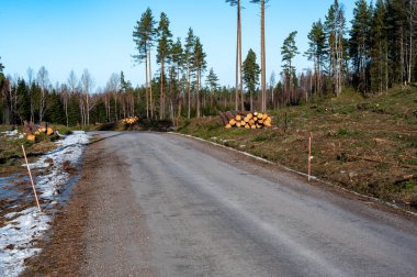 Orman yolu kenarındaki kereste istifli orman arazisi Hallsberg İsveç 5 Şubat 2024