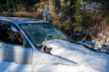 İsveç 5 Şubat 2024 'te, orman yolunda kar altında kalmış bir araba kazası.