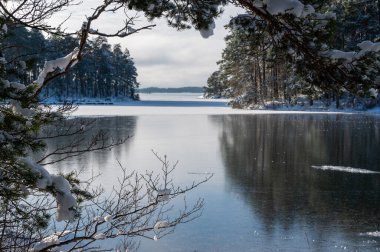 9 Şubat 2024 'te kar yağan Motala İsveç ile göldeki ve adadaki buza bakıyorum.