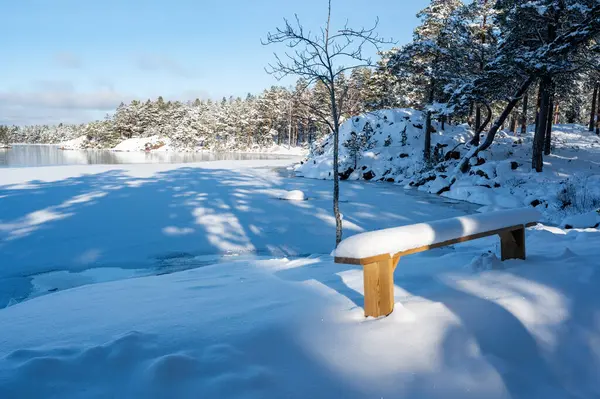 Wooden bench covered in snow near lake Vattern Motala Sweden February 9 2024