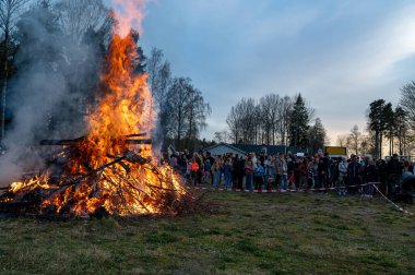 Walpurgis celebrations with big bonfire and games Kumla Sweden April 30 2024 with big crowd clipart