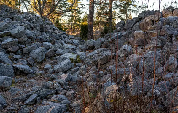 Tarsta Tepesi Kalesi Hallsberg Tepesi 23 Kasım 2024