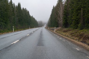 İsveç Şubat 2025 'te sisli ormanda otoyol