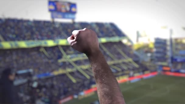 Raised Fist Spectator Soccer Match Blurred Stadium — Stock Video
