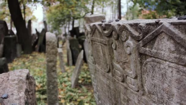 Antigo Cemitério Judaico Josefov Bairro Judaico Stare Mesto Praga Fecha — Vídeo de Stock