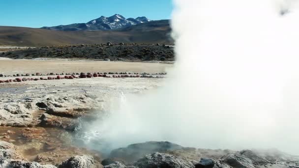 Tatio Geyser Field Pustynia Atacama Region Antofagasta Chile Ameryka Południowa — Wideo stockowe