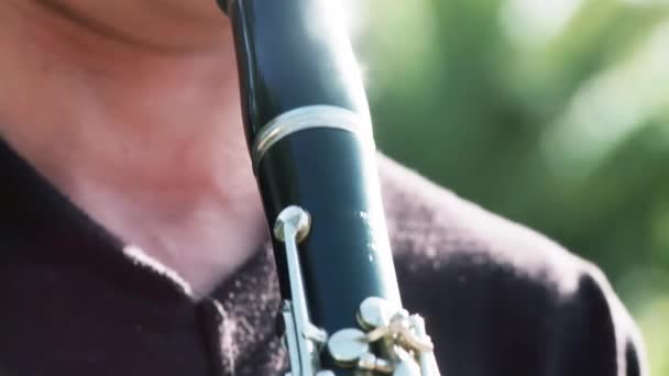 Hände Halten Klarinette Junger Mann Spielt Klarinette Draußen Nahaufnahme Auflösung — Stockvideo