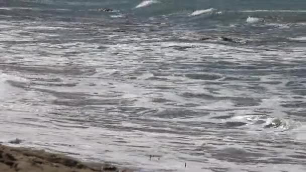 Waves Crashing Shore Las Grutas Atlantic Coast Rio Negro Province — Stock video