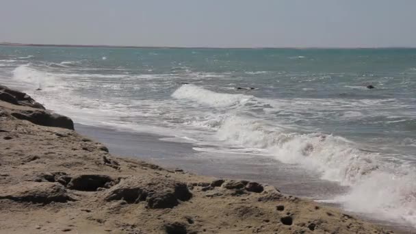 Plaża Las Grutas Prowincja Rio Negro Wybrzeże Atlantyku Argentyna Rozdzielczość — Wideo stockowe