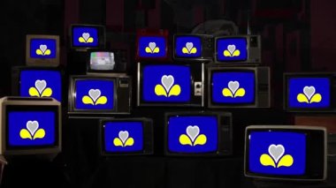 Flag of the Brussels-Capital Region and Vintage Televisions. 4K Resolution.