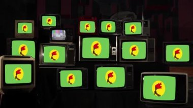 Zaire Bayrağı (19711997) ve Vintage Televisions. 4K Çözünürlüğü.