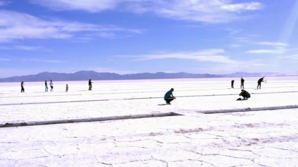 Turistas Salinas Grandes Salt Flats Provincia Jujuy Noroeste Argentina América — Vídeo de stock