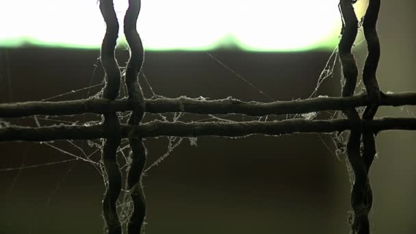 Cerca Segurança Com Spider Webs Corredor Uma Prisão Antiga Província — Vídeo de Stock