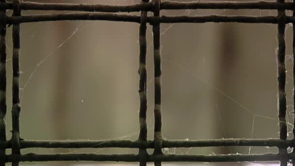 Ржавый Забор Корридоре Старой Тюрьмы Названием Ола Присон Плата Провинция — стоковое видео