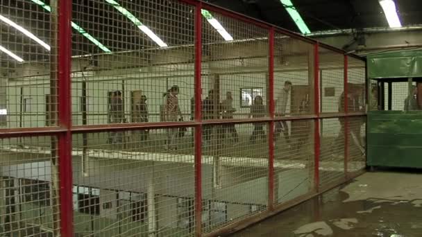Grupo Detentos Caminhando Dentro Uma Prisão Segurança Máxima Província Buenos — Vídeo de Stock