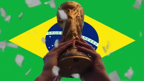 Copa Mundial Fifa Trofeo Contra Bandera Brasil Cerca Resolución — Vídeos de Stock