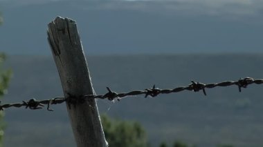 Weathered Barbed Wire Fence Stretching Across the Countryside in Patagonia, Argentina - Close Up