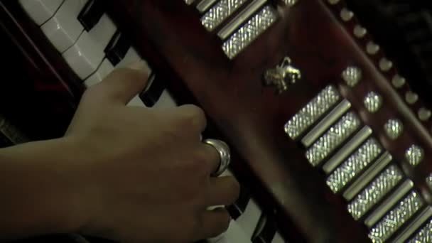 Young Woman Playing Piano Accordion Argentina Close — Stock videók