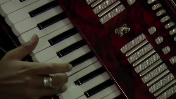 Молодая Женщина Играет Пианино Аккордеоне Аргентине Закрыть — стоковое видео