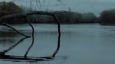 Neuquen Nehri, Sunset, Neuquen Eyaleti, Patagonya, Arjantin, Güney Amerika.  