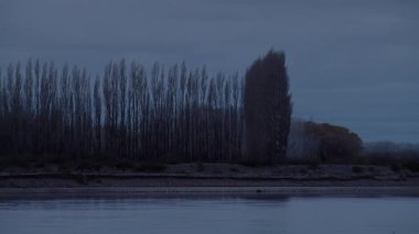 Tranquil Patagonya Peyzajı: Neuquen Nehri Gün Doğumu, Arjantin