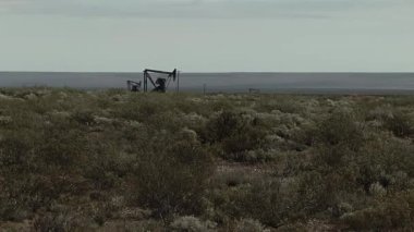 Pumpjacks extract Oil from an Oilfield in the Neuquen Basin in northern Patagonia, Argentina.