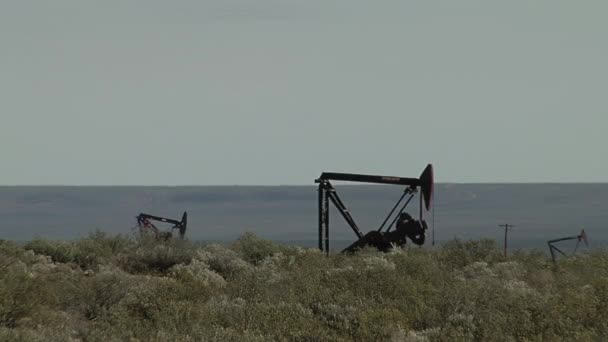 Extracto Pumpjacks Aceite Campo Petrolífero Cuenca Neuquén Norte Patagonia Argentina — Vídeo de stock