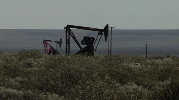 パンプジャックはアルゼンチン パタゴニア北部のノイケン盆地の油田から油を抽出する — ストック動画