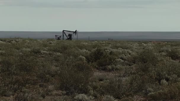 Пумпеки Добувають Олію Ойлфілду Басейні Нойкена Півночі Патагонії Аргентина — стокове відео