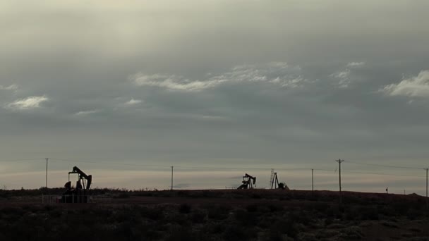 パンプジャックはアルゼンチン パタゴニア北部のノイケン盆地の油田から油を抽出する — ストック動画