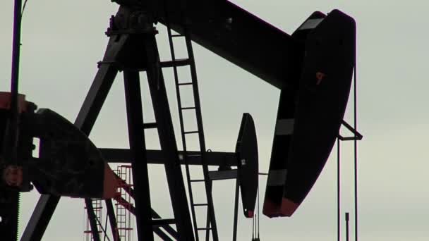 Μονάδα Άντλησης Επιφανειών Που Εργάζεται Ένα Κοίτασμα Πετρελαίου Στην Παταγονία — Αρχείο Βίντεο