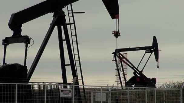 Тыквы Добывают Нефть Нефтяном Месторождении Аргентинской Патагонии — стоковое видео